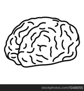 Genius brain icon. Outline genius brain vector icon for web design isolated on white background. Genius brain icon, outline style