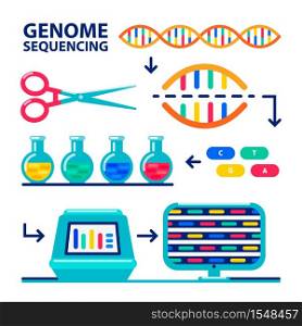 genome sequencing infographic. Human genome project. Flat style vector illustration. genome sequencing sheme. Human genome project. Flat style vector illustration.