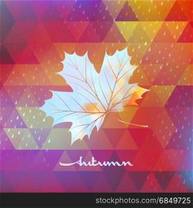 Geometric background card with maple leaf. EPS 10 vector