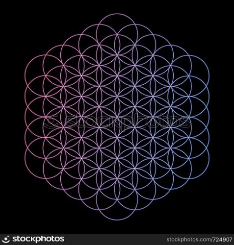 Geometric shape with vibrant gradient.Vector illustration / flower of life / sacred geometry / ancient symbol