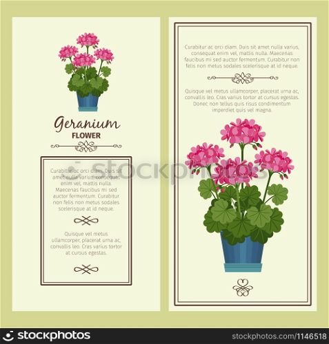 Geranium flower in pot vector advertising banners for shop design. Geranium flower in pot banners