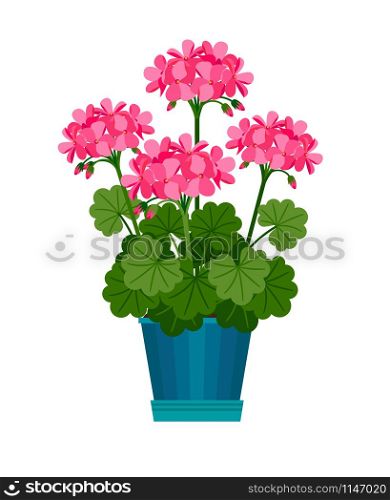 Geranium houseplant in flower pot. Vector icon on white background. Geranium houseplant in flower pot