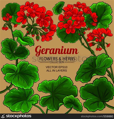 geranium vector frame on color background. geranium vector frame
