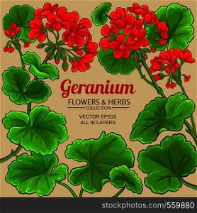 geranium vector frame on color background. geranium vector frame