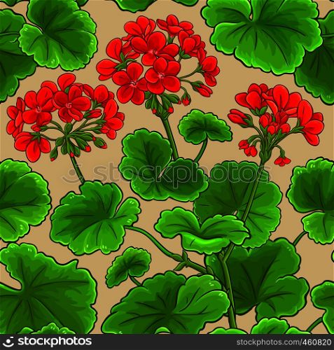 geranium vector pattern on color background. geranium vector pattern