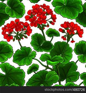 geranium vector pattern on white background. geranium vector pattern