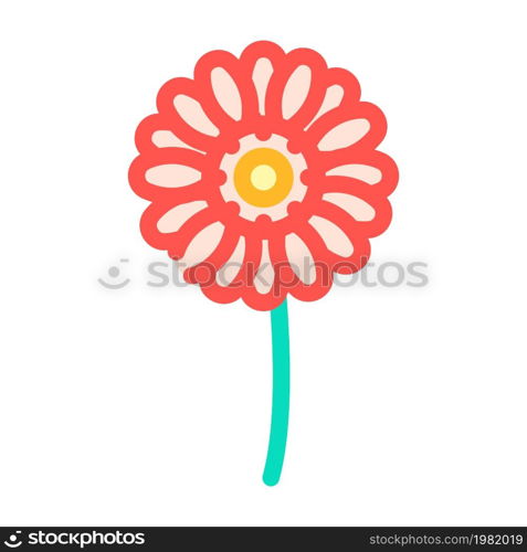 gerbera flower color icon vector. gerbera flower sign. isolated symbol illustration. gerbera flower color icon vector illustration