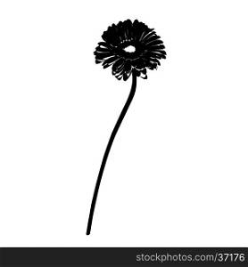 Gerbera stencil silhouette isolated on white