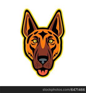 German Shepherd Dog Head Front Mascot. Mascot icon illustration of head of a German Shepherd Dog, Alsatian wolf dog, Berger Allemand, or Deutscher Schaferhund with tongue out viewed from front on isolated background in retro style.. German Shepherd Dog Head Front Mascot