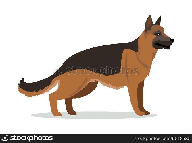 German Shepherd or Alsatian Wolf Dog Isolated.. German Shepherd or Alsatian wolf dog isolated on white. Breed of medium to large-sized working dog. Strong intelligent trainable and obedience dog. Home pet. Child pattern icon. Vector illustration