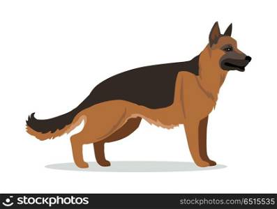 German Shepherd or Alsatian Wolf Dog Isolated.. German Shepherd or Alsatian wolf dog isolated on white. Breed of medium to large-sized working dog. Strong intelligent trainable and obedience dog. Home pet. Child pattern icon. Vector illustration