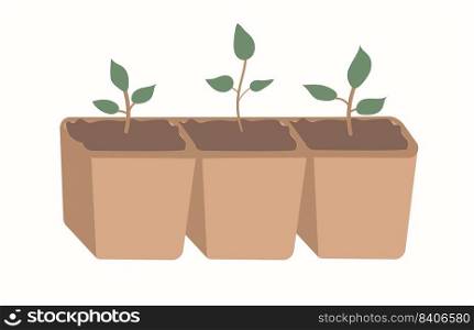 Germinate a young seedling in a brown glass. Vector seedling on an isolated white background. Plant a small tree. Asian seedlings.. Germinate a young seedling in a brown glass. Vector seedling on an isolated white background. Plant a small tree. Asian seedlings