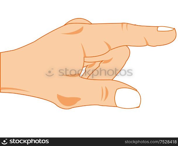 Gesture to index fingers on white background is insulated. Vector illustration of the hand with extended to index fingers
