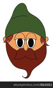 Ghnome with green cap and beard, illustration, vector on white background.
