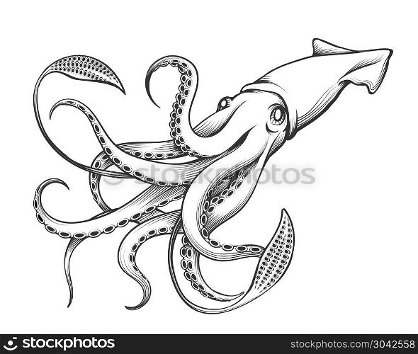 Giant Squid drawn in Engraving tattoo style. Vector Illustration.. Giant Squid Engraving Illustration