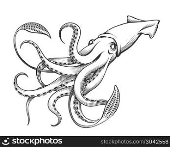 Giant Squid drawn in Engraving tattoo style. Vector Illustration.. Giant Squid Engraving Illustration