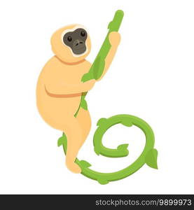 Gibbon on liana icon. Cartoon of gibbon on liana vector icon for web design isolated on white background. Gibbon on liana icon, cartoon style