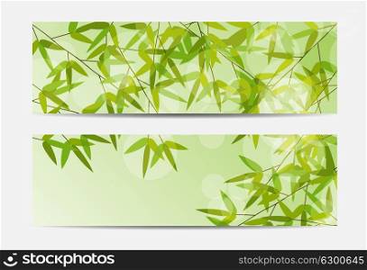 Gift Voucher Template with bamboo in the background. Vector Illustration. EPS10. Gift Voucher Template with abstract in the background. Vector Il