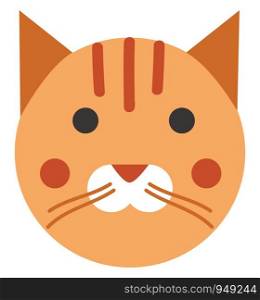 Ginger cat vectior illustration