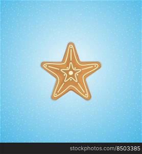 Ginger cookies in the shape of a Christmas star. Holiday decoration.