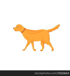 Ginger dog flat color vector character. Domestic animal on walk. Pet sitting and daycare. Veterinary and clinic. Puppy stand isolated cartoon illustration for web graphic design and animation. Ginger dog flat color vector character