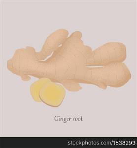 Ginger root whole and sliced in slices on a gray background. Healthy, fresh ginger and logo.. Ginger root whole and sliced in slices on a gray background.