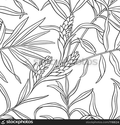 ginger seamless pattern. ginger plant seamless pattern on white background