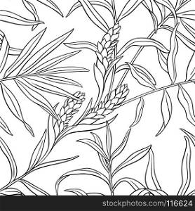 ginger seamless pattern. ginger plant seamless pattern on white background