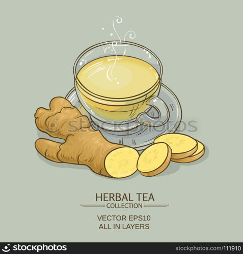 ginger tea illustration. ginger tea vector illustration on color background