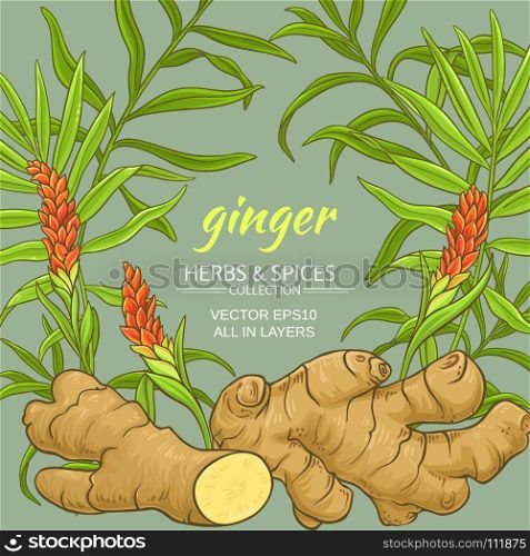 ginger vector frame. ginger plant vector frame on color background