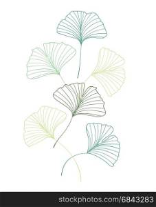 Ginkgo biloba leaves. Vector Illustration ginkgo biloba leaves. Background with green leaves