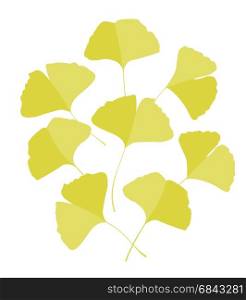Ginkgo biloba leaves. Vector Illustration ginkgo biloba leaves. Background with yellow leaves