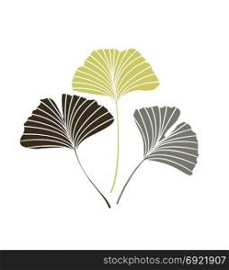 Ginkgo biloba leaves. Vector Illustration ginkgo biloba leaves. Nature background with leaves.
