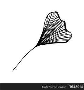 Ginkgo leaf ink line art design, vector isolated design element with wave outline drawing. Ginkgo biloba or ginko leaf, botanical plant engraving for modern interior decoration art design element. Ginkgo leaf, botanical floral plant ink line art