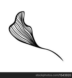 Ginkgo leaf ink line art design, vector isolated design element with wave outline drawing. Ginkgo biloba or ginko leaf, botanical plant engraving for modern interior decoration art design element. Ginkgo leaf, botanical floral plant ink line art