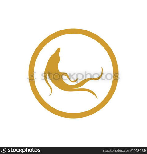 Ginseng icon Vector Illustration design Logo template