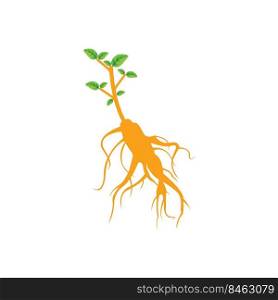 Ginseng icon vector illustration design template