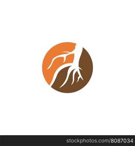 ginseng icon vector illustration template design
