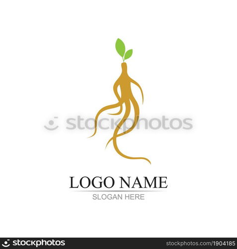 ginseng illustration icon vector design template