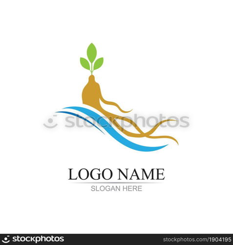 ginseng illustration icon vector design template