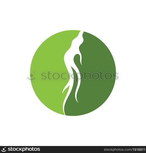 ginseng illustration icon vector design template