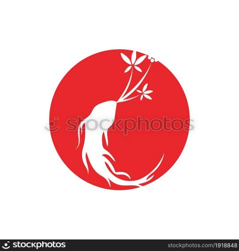 ginseng illustration icon vector design template