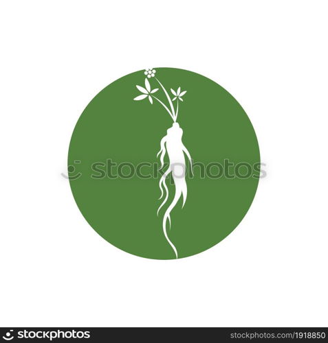 ginseng illustration icon vector design template