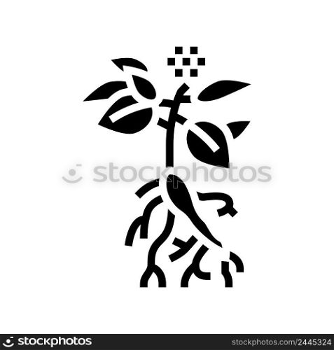 ginseng plant glyph icon vector. ginseng plant sign. isolated contour symbol black illustration. ginseng plant glyph icon vector illustration