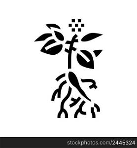 ginseng plant glyph icon vector. ginseng plant sign. isolated contour symbol black illustration. ginseng plant glyph icon vector illustration
