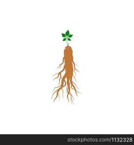 Ginseng vector icon illustration design template