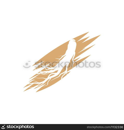 Ginseng vector icon illustration design template