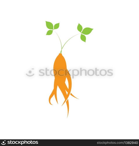 Ginseng vector icon illustration design template