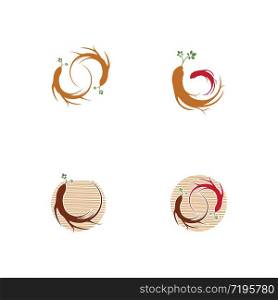 Ginseng vector icon illustration design template