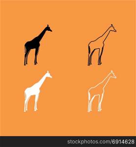 Giraffe black and white set icon .